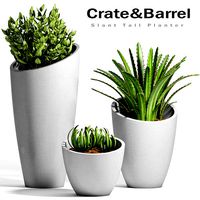 Decorative plant set-20