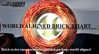 Brick World Aligned Materials