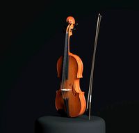 Violin