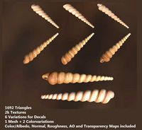 Mussel02 - 1k Triangles-Mesh and Decal