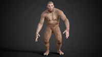 Australopithecus