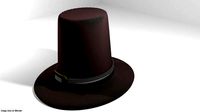 Hat - Pilgrim