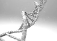 DNA DeoxyriboNucleic Acid
