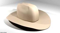 Hat - Cowboy