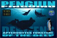 Emperor  Penguin