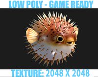 Puffer fish01
