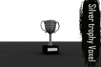 Voxel Silver Troph
