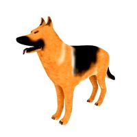 Dog German Shepherd