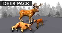 Deer Family