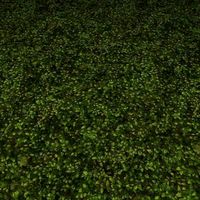 ground grass tile 3