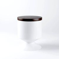 CGTrendy Side Table 004