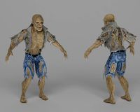 113 3D Model