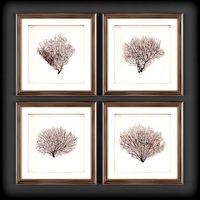 Picture Frames