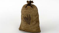 Food Sack Grain Tied 3D Model