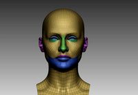 Sansa Basemesh