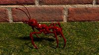 red ant
