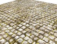 Cobblestone Road 2 Texture PB