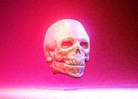 skull