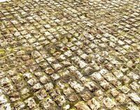 Cobblestone Road Texture PB
