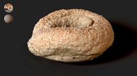 8- Sesame Bagel