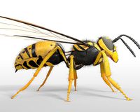 Wasp Rigged Hairs