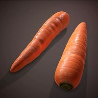 Carrots