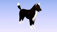 Lowpoly dog rigged