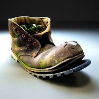Old Boot With Plants Inside