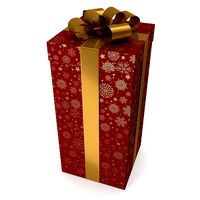 Christmas Gift 6
