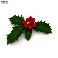 Holly