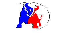 Texans NFL logo in oval