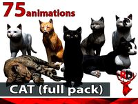 Cat full pack