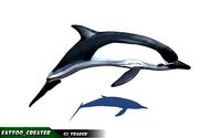 Low-Poly Dolphin Rigged Animated 3D model