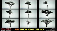FULL AFRICAN ACACIA TREE PACK - 9 TREES