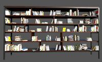 Book Shelf with Books