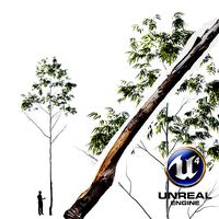 Realistic Tree 09- UE4 Asset and FBX Files Low-poly 3D model