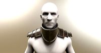 Body and shoulder armor