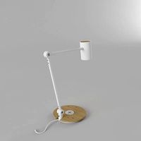 RIGGAD LED LAMP