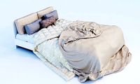 Bed Glanze