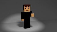 Minecraft Character