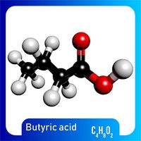 Butyric acid 3D Model C4H8O2