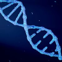 Animated DNA model