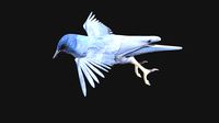blue bird animated