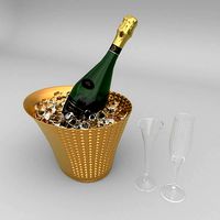 Nicolas Feuillatte Cuve Special Champage Bottle