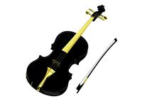 Black Luxury Viola and Bow
