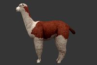 Alpaca