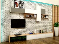 TV unit