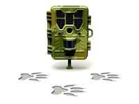 Wildlife Trail Camera