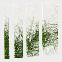 Ivy for rectangular columns 4 models