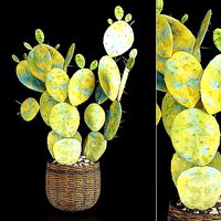 Plant 9 2